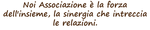 Noi Associazione è la forza dell'insieme, la sinergia che intreccia le relazioni.